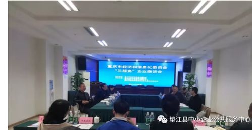 墊江召開企業座談會 重慶信息服務助力區縣發展，解讀市經信委“三服務”新舉措